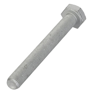 The AGCO Hexagonal Head Bolt - Acw4949660 currently has no available product description information.