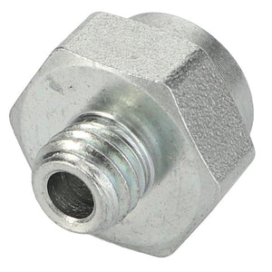 The AGCO Adapter - Acw0824980 is a hexagonal, metallic nut featuring visible internal threading. Please note that no additional product description information is currently available.