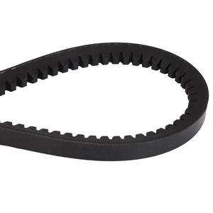 Close-up of the AGCO | BELT - D41921700, a black toothed belt made of rubber, bent in a loop with one end partially visible. The belt has evenly spaced teeth along its inner edge.