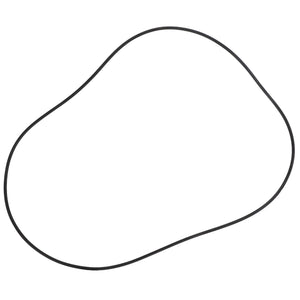 AGCO | O-Ring | AG-X549035701000