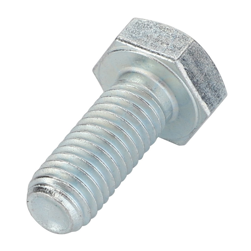AGCO | Hexagonal Head Bolt | AG-9-1113-0029-0