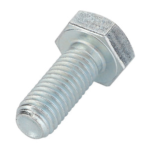 AGCO | Hexagonal Head Bolt | AG-9-1113-0029-0
