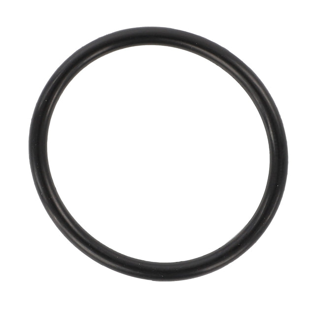 The AGCO O-Ring - F334310020100 is a black rubber circular ring displayed on a white background. Currently, there is no product description available.