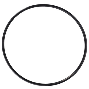 An AGCO O Ring - 3909971M1, a black circular rubber O-ring suitable for Valtra Models, displayed against a white background.