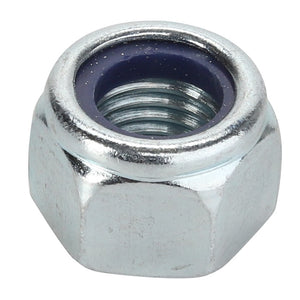 AGCO | LOCKNUT - AL5011557