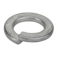 AGCO | Lock Washer - Va022861 - Farming Parts