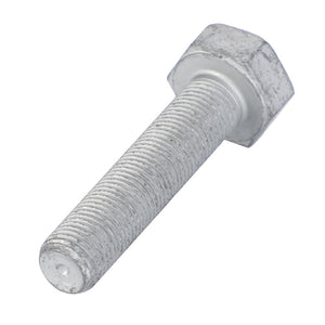 A close-up of the AGCO Hex Head Bolt (F716201310160) featuring its silver hexagonal head and threaded shaft.