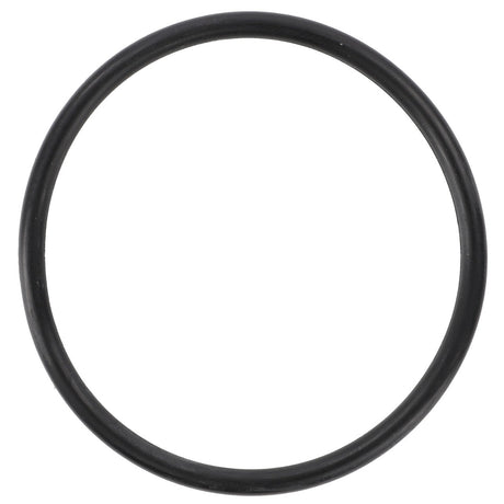 An AGCO O-Ring - 70924158, a genuine black rubber seal designed for high-performance demands, lays flat on a white background.