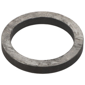 The AGCO | WASHER - E73118 is a flat, circular-shaped metal washer with a hole in the center, photographed on a white background. Currently, no additional product description information is available.