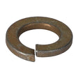 *STOCK CLEARANCE* - Spring Washer - 339369X1 - Farming Parts