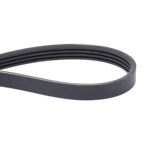 AGCO | Serpentine Belt, Pk4 Profile - F926202040020 - Farming Parts