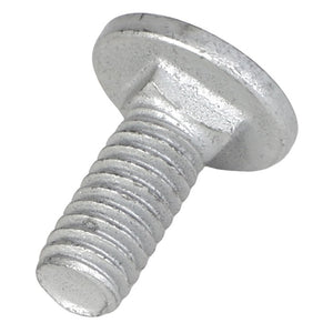 AGCO | Round Head Square Neck Carriage Bolt - 7700461 - Farming Parts