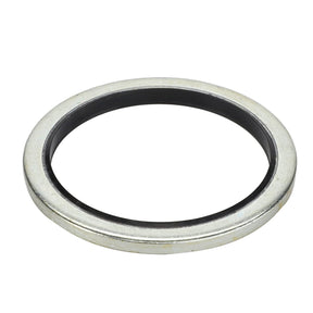 AGCO SEAL - D45420000, featuring a black inner seal, isolated on a white background. No additional information available.