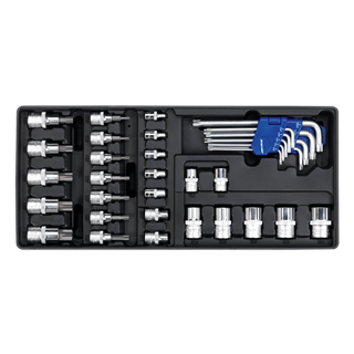 Tool Tray with TRX-Star* Key, Socket Bit & Socket Set 35pc - TBT08 - Farming Parts