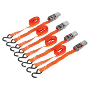 Ratchet Straps 25mm x 4m Polyester Webbing with S-Hooks 500kg Breaking Strength - 2 Pairs - TD0540S4 - Farming Parts