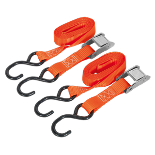 Cam Buckle Strap 25mm x 2.5m Polyester Webbing with S-Hooks 250kg Breaking Strength - TD2525CS - Farming Parts