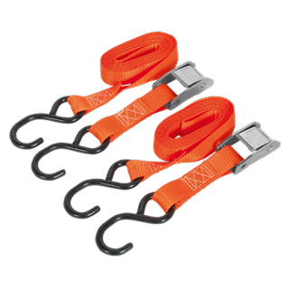 Two Cam Buckle Straps by Sealey, each measuring 25mm x 2.5m and equipped with S-Hooks and metal buckles, featuring durable polyester webbing for securing cargo with a breaking strength of 250kg.