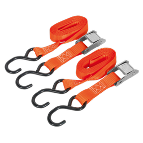 Two Cam Buckle Straps by Sealey, each measuring 25mm x 2.5m and equipped with S-Hooks and metal buckles, featuring durable polyester webbing for securing cargo with a breaking strength of 250kg.