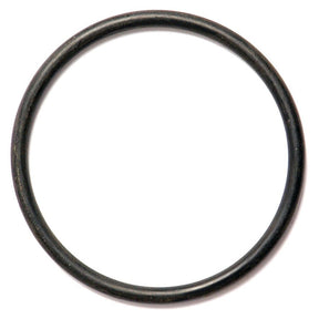 A close-up view of the Sparex O Ring 1/8'' x -'' (BS831) with a 70° shore hardness, model number S.10391, against a white background.