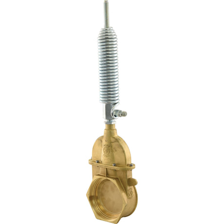 Gate valve with oildynamic ram with spring - Double threaded 6'' - S.104913 - Farming Parts