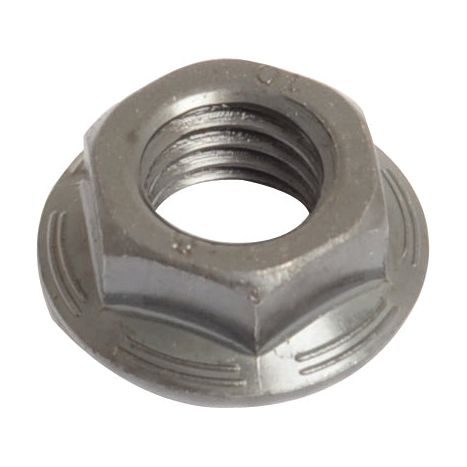 Close-up of a Sparex Mower Combi Nut M12 - Replacement for Claas, featuring a metal flanged hex nut with a threaded center hole and six sides, commonly used in construction and mechanical applications.