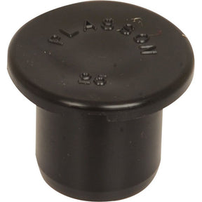 A black plastic end cap embossed with the Sparex brand name and the number "25" on the top surface, designed as a 25mm plug adapter, identified by Sparex Part No. S.106894.