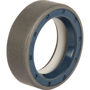 A close-up view of the Sparex Seal S/Shaft Inner (4) | Sparex Part No.S.107246, featuring a blue inner ring and a grey outer ring.