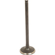 A Sparex Exhaust Valve Standard (Part No. S.107500) featuring a cylindrical stem and a flat, rounded head, suitable for Fiat 160-55 models.