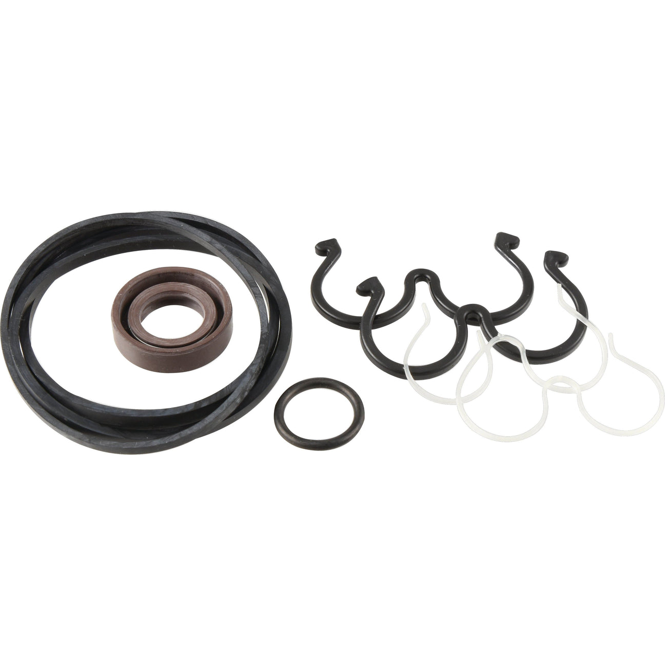 A collection of various components from the Sparex Hydraulic Pump Repair Kit (Part No. S.108374), including rubber and metal rings as well as Bosch clips, arranged on a white background.