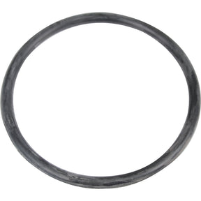 A circular rubber O-ring, commonly used in hydraulic piston systems, against a white background. Product: Seal | Sparex Part No.S.108384 by Sparex.
