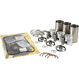 Sparex Engine Overhaul Kit - S.108681 for Iveco Engine Model 8035.01 includes pistons, rings, gaskets, bearings, and other components meticulously arranged on a white background.