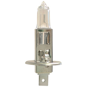 A Sparex halogen light bulb, 12V and 100W with a P14.5s metal base, designed for vehicle headlights (Sparex Part No.S.109978).