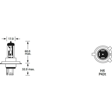 Diagram of a Sparex Brand Light Bulb (Halogen), 12V, 55W, P43t (Box 1 pc.) with labeled dimensions. The bulb is 60.0 mm tall with a 17.0 mm diameter and a 32.0 mm base height, compliant with ECE Category H4 standards.