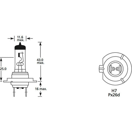 Halogen Head Light Bulb, 12V, 55W, PX26d Base
 - S.109990 - Farming Parts