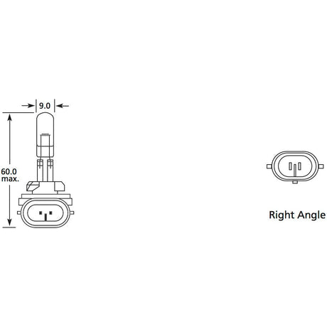 Halogen Head Light Bulb, 12V, 50W, PGJ13 Base
 - S.109993 - Farming Parts