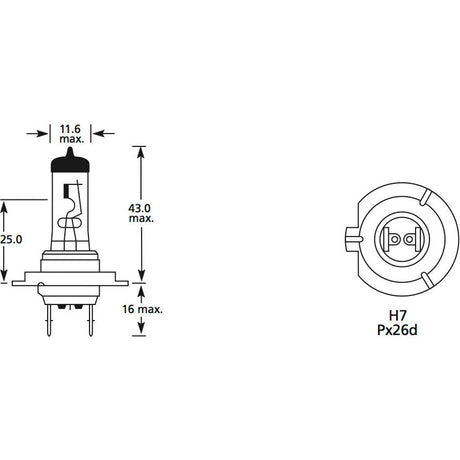 Halogen Head Light Bulb, 12V, 55W, PX26d Base
 - S.110038 - Farming Parts