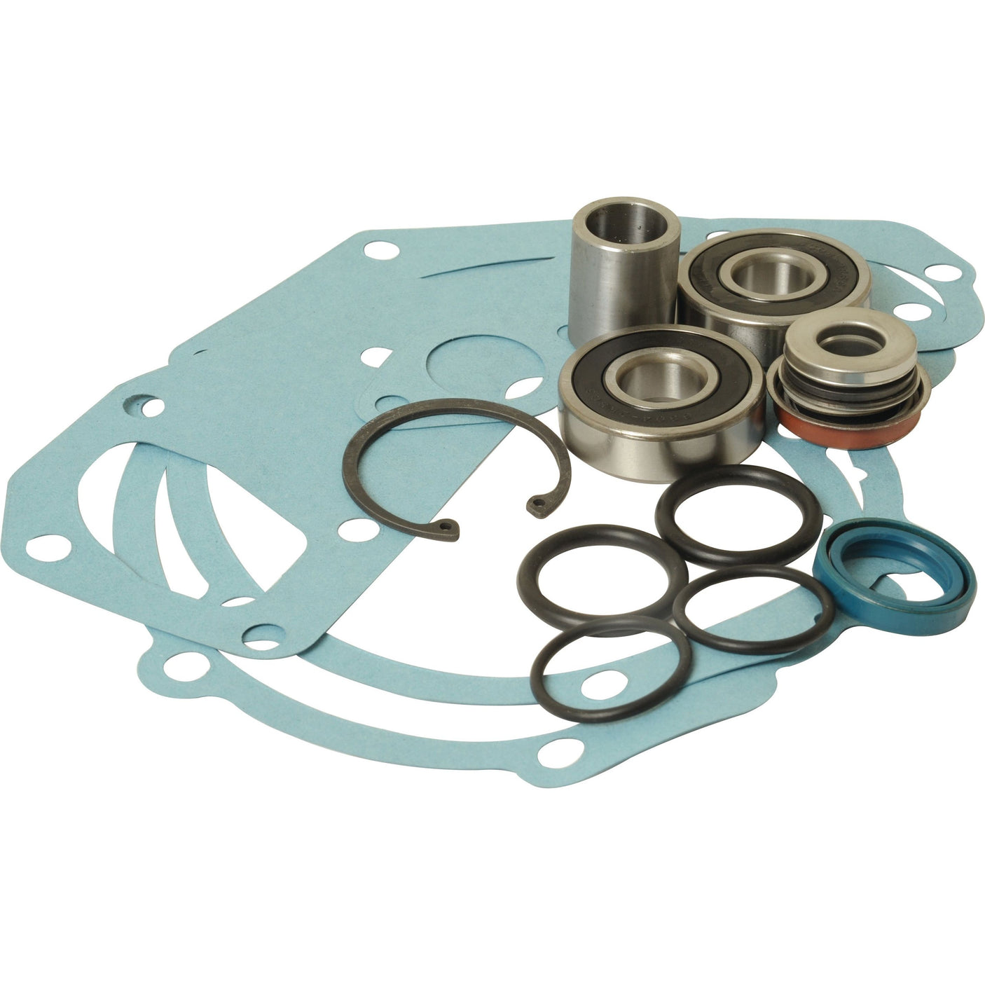 An assortment of metallic bearings, seals, and blue gaskets from the Sparex Water Pump Repair Kit (Part No. S.110896) arranged on a white background.