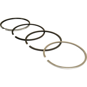 Four Sparex piston rings, identified by Sparex Part No. S.110972, are aligned in a row, showcasing their varying thickness and material to illustrate different designs and purposes for use in a Sisu 310 Engine.