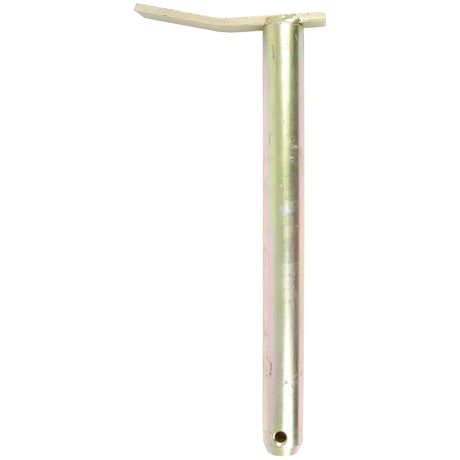 Swinging Drawbar Hinge Pin 25x250mm
 - S.11351 - Farming Parts