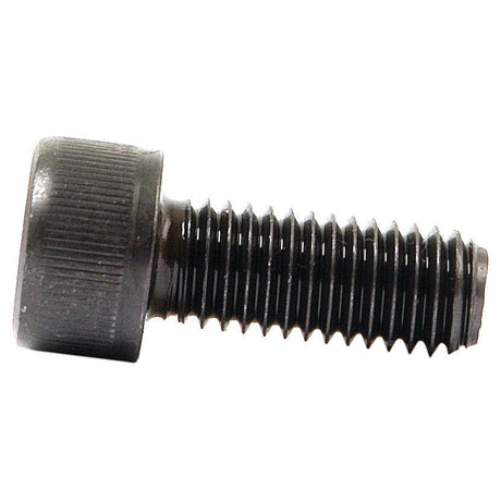 Socket Capscrew, Size: M3 x 12mm (Din 912)
 - S.11643 - Farming Parts