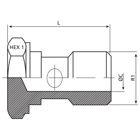 Dicsa BSP Banjo Bolt 1/2''
 - S.116713 - Farming Parts