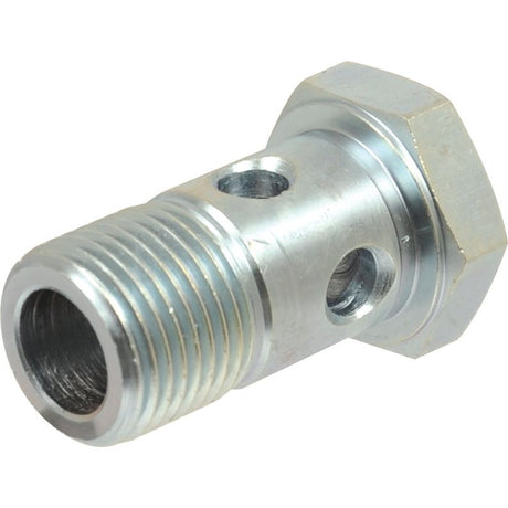 Dicsa BSP Banjo Bolt 1/2''
 - S.116713 - Farming Parts