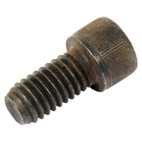 Close-up image of a Sparex Socket Capscrew (3/8''x3/4'' UNC, BS2470, S.11676) with 12.9 tensile strength, showcasing visible threading and a cylindrical head.