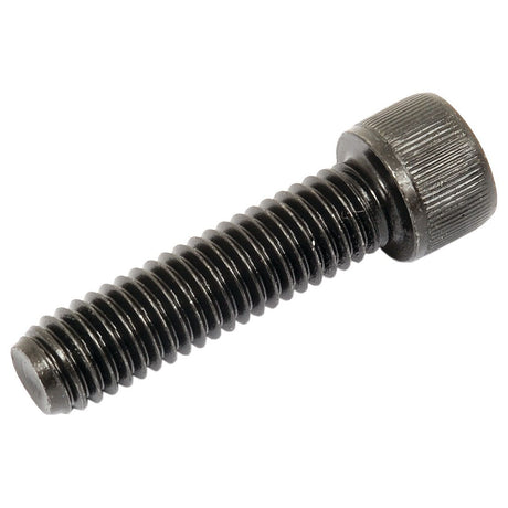 Socket Capscrew, Size: 3/8'' x 1 1/2'' UNC (BS 2470) - S.11678 - Farming Parts