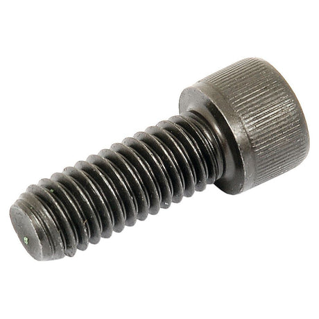 Socket Capscrew, Size: 3/8'' x 2'' UNC (BS 2470) - S.11679 - Farming Parts