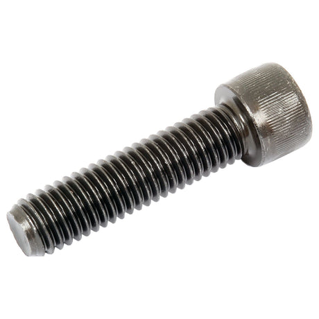 A Sparex Socket Capscrew (1/2''x2'' UNC, BS2470-1936), with a knurled cylindrical head and threaded body, is shown against a plain white background, highlighting its impressive tensile strength.