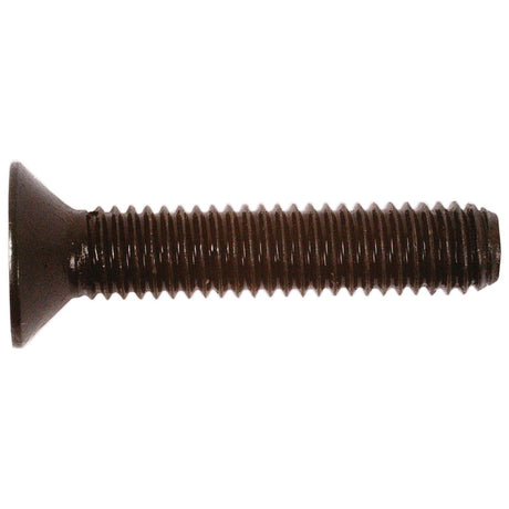 Metric Countersunk Hexagon Socket Screw, Size: M6 x 30mm (Din 7991)
 - S.11798 - Farming Parts