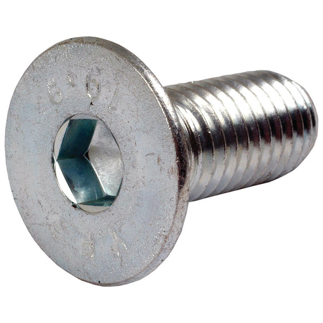 Metric Countersunk Hexagon Socket Screw, Size: M12 x 30mm (Din 7991)
 - S.11813 - Farming Parts