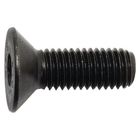 Metric Countersunk Hexagon Socket Screw, Size: M12 x 35mm (Din 7991)
 - S.11814 - Farming Parts