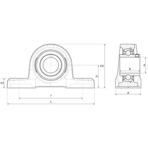 NTN SNR Two-Bolt Pillow Block Bearing (UCPE206)
 - S.138534 - Farming Parts